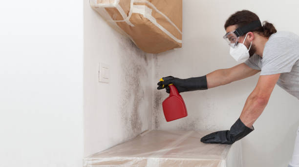 Professional Crawl Space Mold Remediation technician working in Bridgman, MI