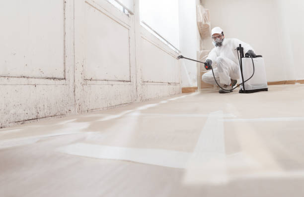 24/7 Emergency Crawl Space Mold Remediation experts in Bridgman, MI